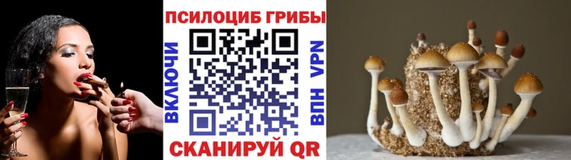 продажа наркотиков  Верхний Тагил  Галлюциногенные грибы ЛСД 